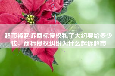 超市被起诉商标侵权私了大约要给多少钱，商标侵权纠纷为什么起诉超市