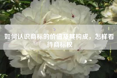 如何认识商标的价值及其构成，怎样看待商标权