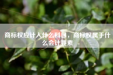 商标权应计入什么科目，商标权属于什么会计要素