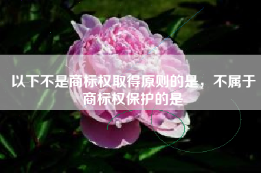 以下不是商标权取得原则的是，不属于商标权保护的是