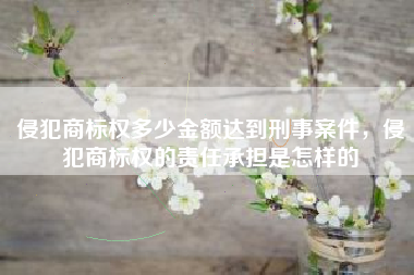 侵犯商标权多少金额达到刑事案件，侵犯商标权的责任承担是怎样的