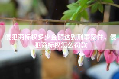 侵犯商标权多少金额达到刑事案件，侵犯商标权怎么罚款
