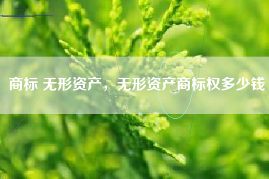 商标 无形资产，无形资产商标权多少钱