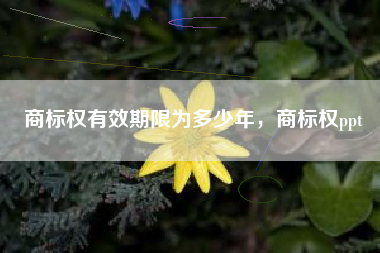 商标权有效期限为多少年，商标权ppt