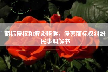 商标侵权和解谈赔偿，侵害商标权纠纷民事调解书