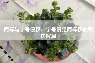 商标与字号侵权，字号侵犯商标权的司法解释