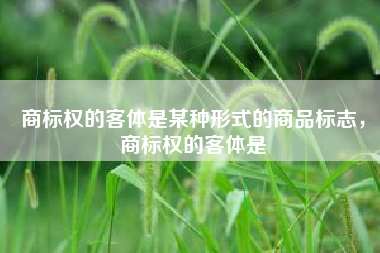 商标权的客体是某种形式的商品标志，商标权的客体是