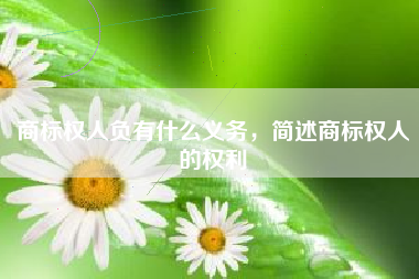 商标权人负有什么义务，简述商标权人的权利