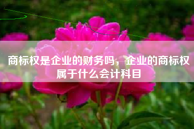 商标权是企业的财务吗，企业的商标权属于什么会计科目
