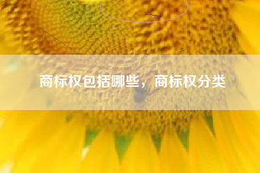 商标权包括哪些，商标权分类