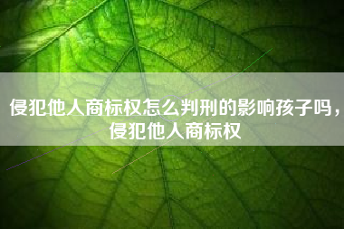 侵犯他人商标权怎么判刑的影响孩子吗，侵犯他人商标权