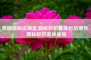 我国商标法规定,商标权的客体包括哪些，商标权的客体是指