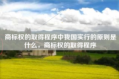 商标权的取得程序中我国实行的原则是什么，商标权的取得程序