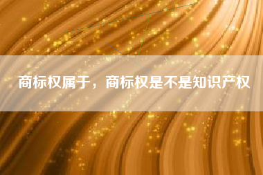 商标权属于，商标权是不是知识产权