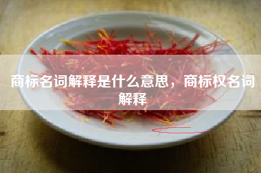 商标名词解释是什么意思，商标权名词解释