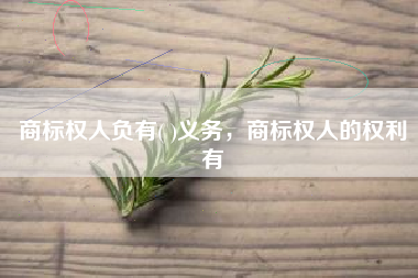 商标权人负有( )义务，商标权人的权利有