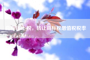 商标转让 税，转让商标权增值税税率