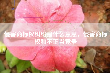 侵害商标权纠纷是什么意思，侵害商标权和不正当竞争