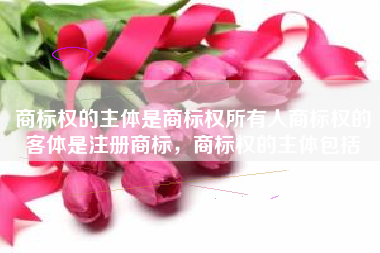 商标权的主体是商标权所有人商标权的客体是注册商标，商标权的主体包括