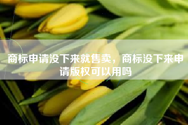 商标申请没下来就售卖，商标没下来申请版权可以用吗