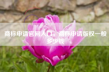 商标申请官网入口，商标申请版权一般多少钱