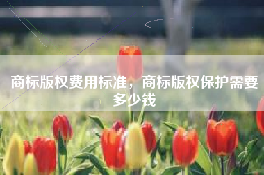 商标版权费用标准，商标版权保护需要多少钱