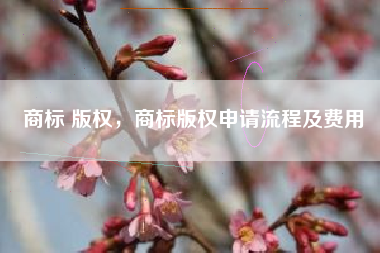 商标 版权，商标版权申请流程及费用