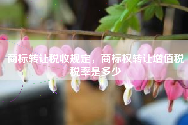 商标转让税收规定，商标权转让增值税税率是多少
