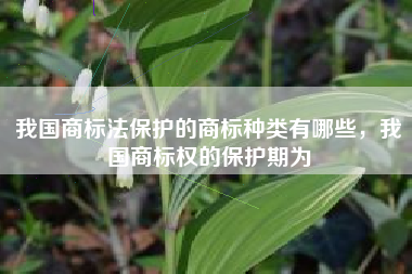 我国商标法保护的商标种类有哪些，我国商标权的保护期为