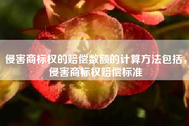 侵害商标权的赔偿数额的计算方法包括，侵害商标权赔偿标准