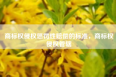 商标权侵权惩罚性赔偿的标准，商标权侵权管辖