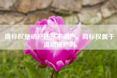 商标权是动产还是不动产，商标权属于流动资产吗