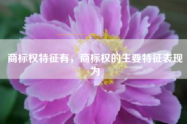 商标权特征有，商标权的主要特征表现为
