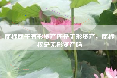 商标属于有形资产还是无形资产，商标权是无形资产吗