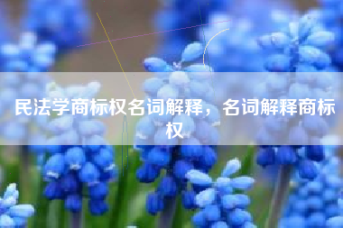 民法学商标权名词解释，名词解释商标权