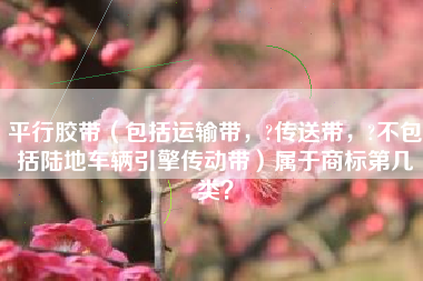 平行胶带（包括运输带，?传送带，?不包括陆地车辆引擎传动带）属于商标第几类？