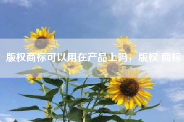 版权商标可以用在产品上吗，版权 商标