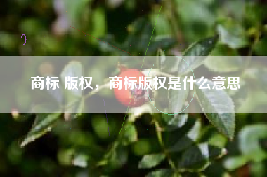 商标 版权，商标版权是什么意思