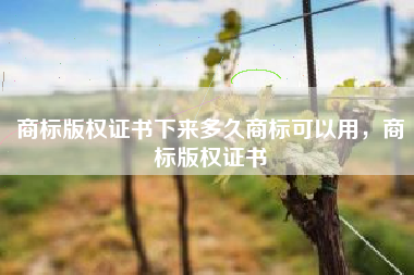 商标版权证书下来多久商标可以用，商标版权证书