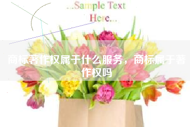 商标著作权属于什么服务，商标属于著作权吗