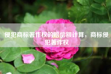 侵犯商标著作权的赔偿额计算，商标侵犯著作权