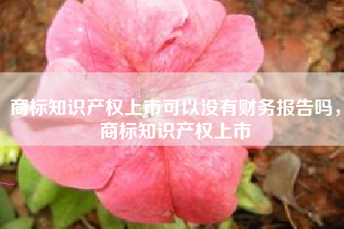 商标知识产权上市可以没有财务报告吗，商标知识产权上市
