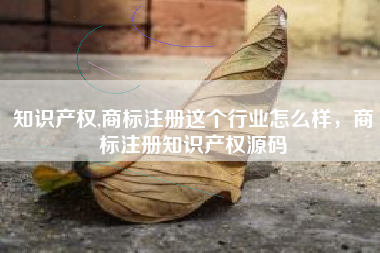 知识产权,商标注册这个行业怎么样，商标注册知识产权源码
