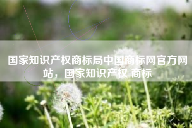 国家知识产权商标局中国商标网官方网站，国家知识产权 商标