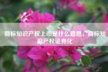 商标知识产权上市是什么意思，商标知识产权证券化