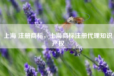 上海 注册商标，上海商标注册代理知识产权
