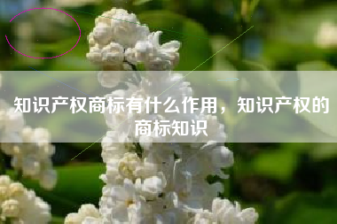 知识产权商标有什么作用，知识产权的商标知识