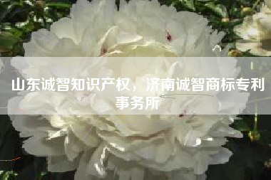 山东诚智知识产权，济南诚智商标专利事务所