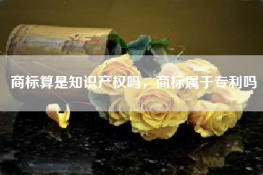 商标算是知识产权吗，商标属于专利吗