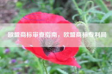 欧盟商标审查指南，欧盟商标专利局